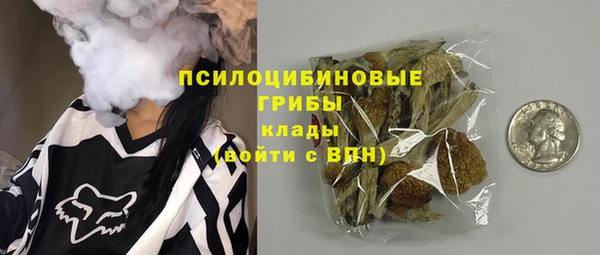 молекула духа Алексин