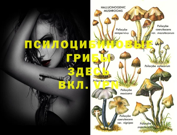 молекула духа Алексин