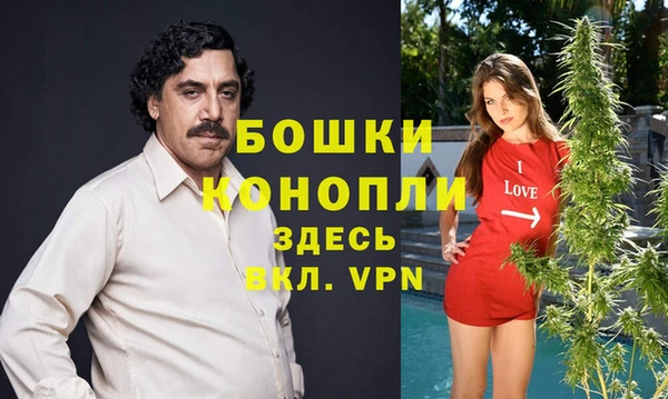 молекула духа Алексин