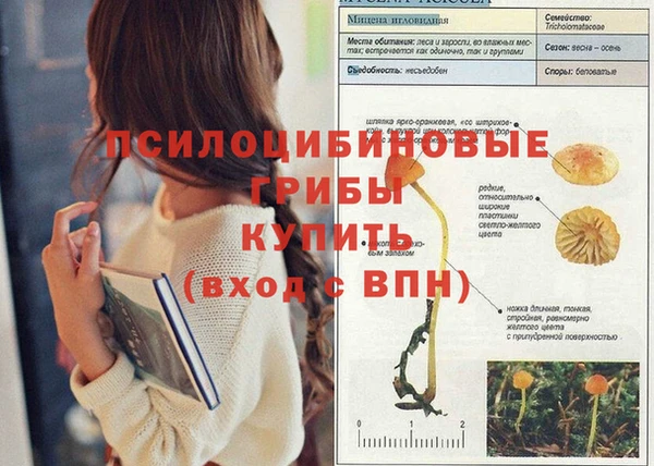 а пвп мука Алексеевка