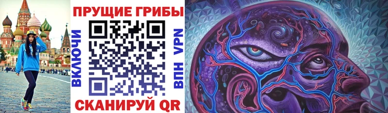 OMG как войти Шелехов Псилоцибиновые грибы мицелий